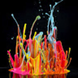 Meet your Posher, Katrina